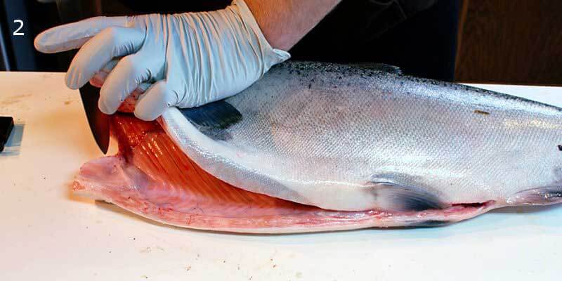 Knifestock BLOG - Come sfilettare correttamente il salmone