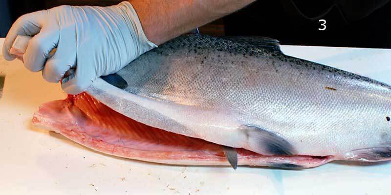 Knifestock BLOG - Come sfilettare correttamente il salmone