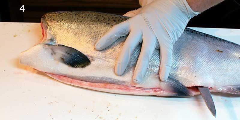 Knifestock BLOG - Come sfilettare correttamente il salmone