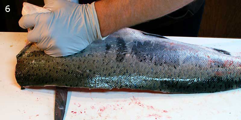 Knifestock BLOG - Come sfilettare correttamente il salmone
