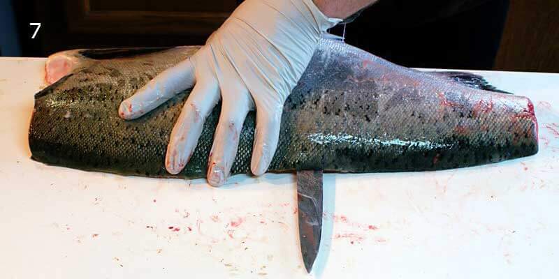 Knifestock BLOG - Come sfilettare correttamente il salmone